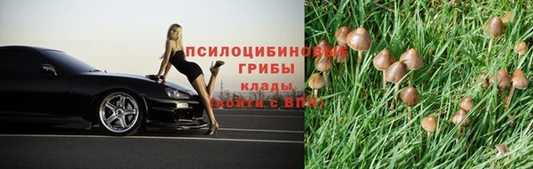 метадон Аркадак
