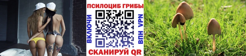 Галлюциногенные грибы прущие грибы  omg как войти  Новомосковск 