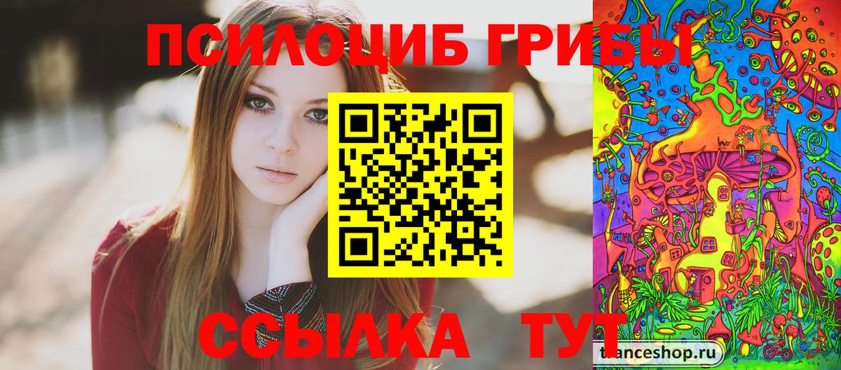Псилоцибиновые грибы Cubensis Новомосковск