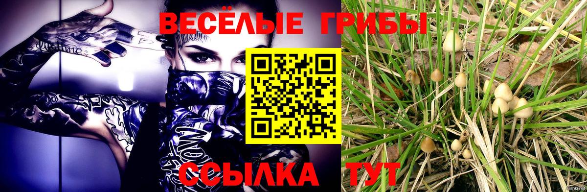 Галлюциногенные грибы MAGIC MUSHROOMS  Вход с VPN  Новомосковск 