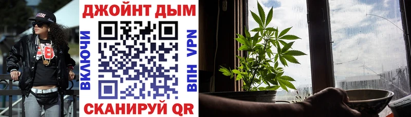 дарнет шоп  Новомосковск  Бошки марихуана Amnesia 