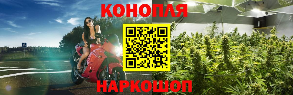 Бошки марихуана сатива  Канабис планчик  Новомосковск  Вход с VPN 
